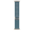 Correa Alpine para Apple Watch - Acabado titanio natural