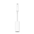 Apple Thunderbolt to FireWire Adapter